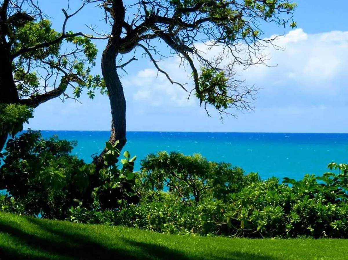 Kahuku Beach Glam At Turtle Bay On The Golf Course 0*,